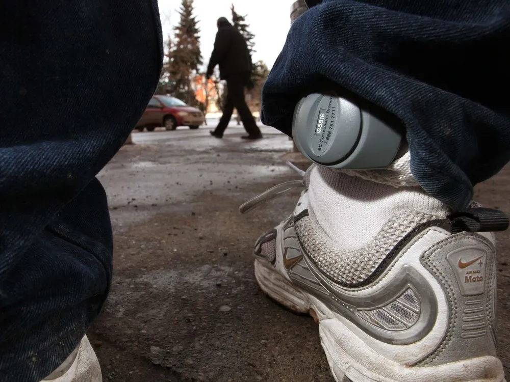 Digital Control, Monitoring and Tracking